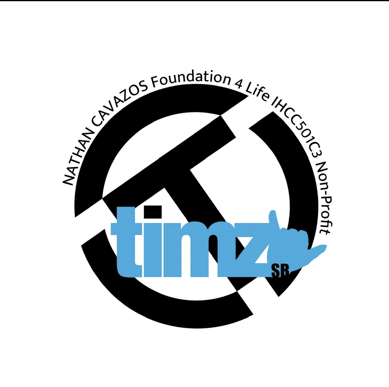 TIMZsb logo